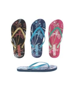 CHANCLETAS P/ SRA 35-40