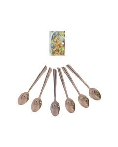 CUCHARA 6 PCS 20.5CM