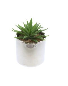 PLANTA ARTIFICIAL 8X12CM