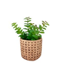 PLANTA ARTIFICIAL 11X20CM