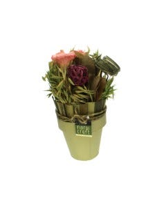 PLANTAS SECAS 10CM