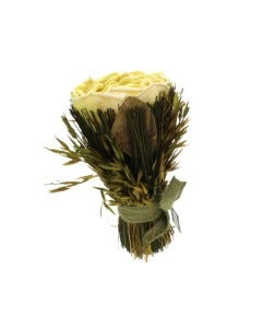 PLANTAS SECAS 20CM