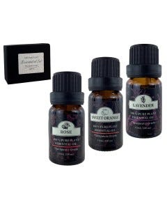BOTELLAS D/ACEITE P/DIFUSOR 3PZAS 33OZ
