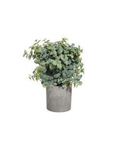 PLANTAS DCO-CASCADA 8.2X8.2X21CM