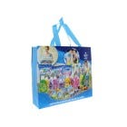 BOLSAS P/COMPRAS 39CM