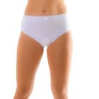 PANTY P/ SRAS S-XL