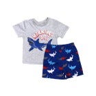 CONJUNTO D/ PIJAMA P/ NINOS 2PZAS 2-8
