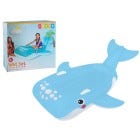 FLOTADOR INFLABLE 66"X55"